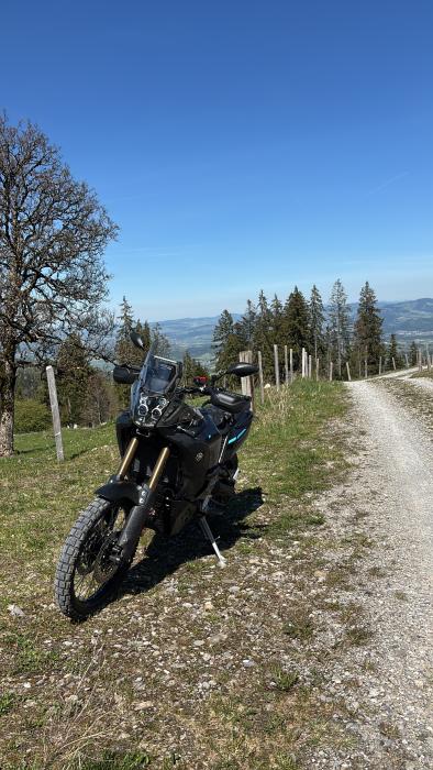 Picture of YAMAHA TENERE 700 (2025)