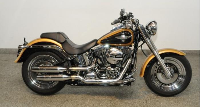 Photo of HARLEY-DAVIDSON FXST (2016)