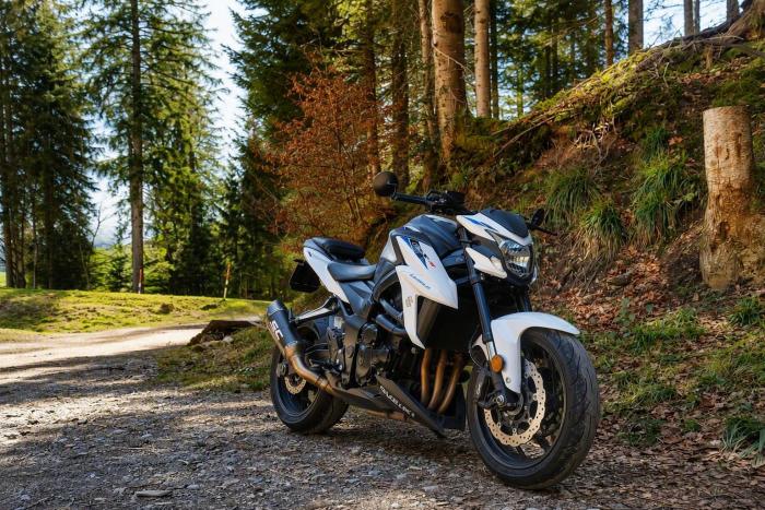 Picture of SUZUKI GSX-S 750 (2022)