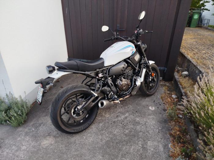 Picture of YAMAHA XSR 700 (2023)