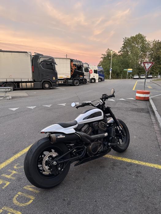 Picture of HARLEY-DAVIDSON RH (2022)