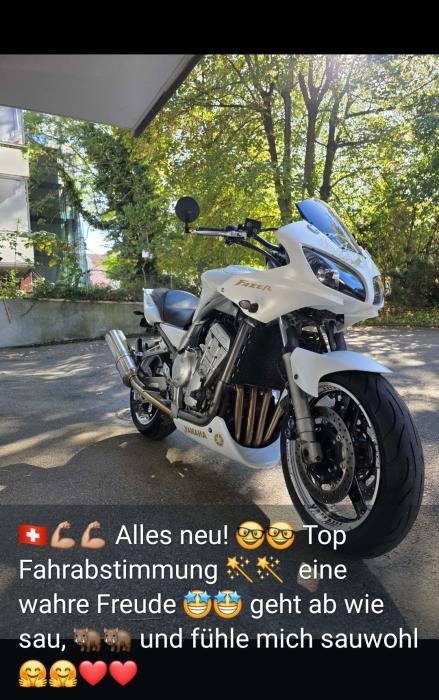 Picture of YAMAHA FZS 1000 (2001)