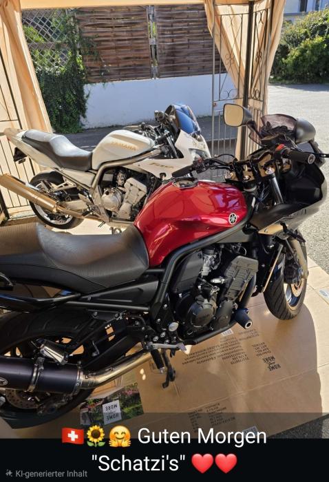 Photo of YAMAHA FZS 1000 (2005)