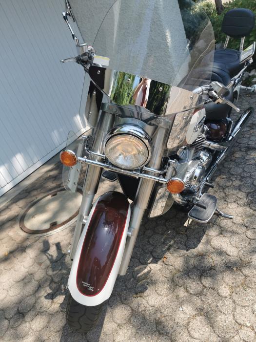 Picture of YAMAHA XVS 1300 (1998)